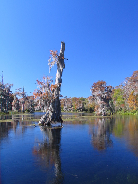 Wakulla Springs State Park