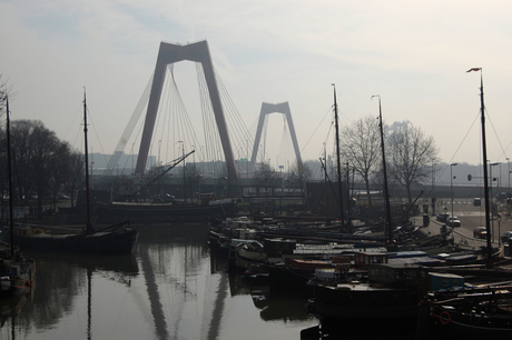 Willemsbrug