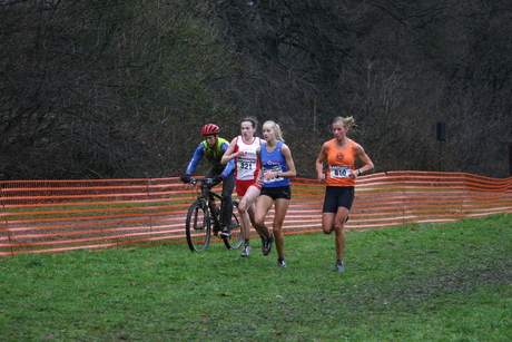 Veldcross