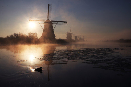 Kinderdijk