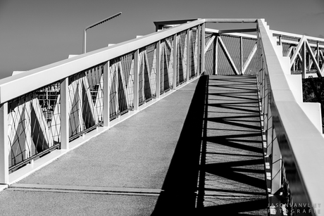 Lijnen Boulevard Scheveningen