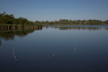 Zicht op de Lepelaarsplassen (IV)