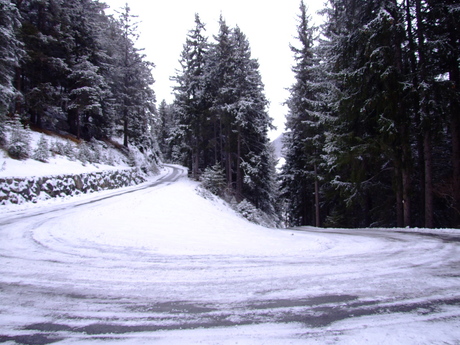 winter 2007