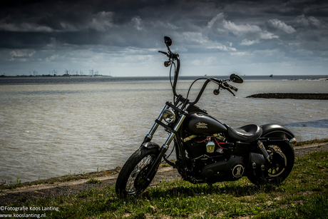 Harley in HDR