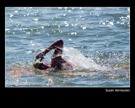 Open Water Zwemmarathon - Hoorn