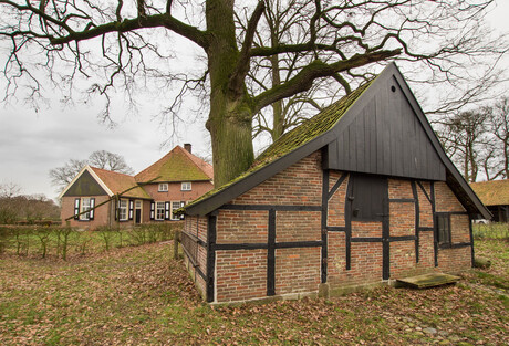 Breckelenkamp - Jonkershoesweg - Schuur met boom