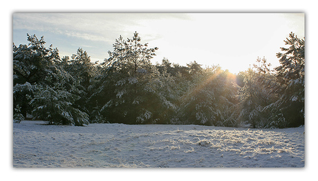 Als sneeuw voor de zon...