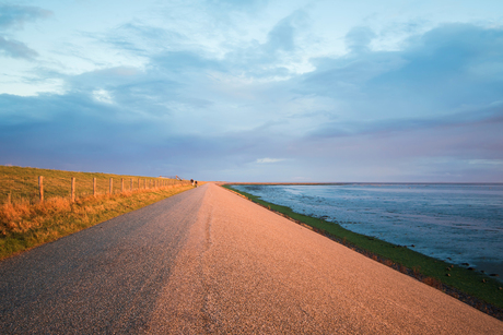 Texel: dijk in ochtendlicht