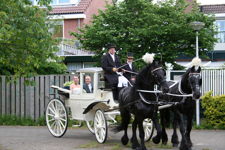 Samen in de koets