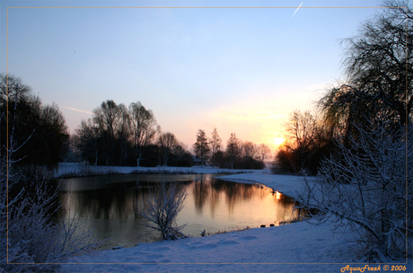 Zon op park