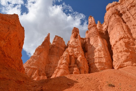 De Hoodoos in Bryce National Park USA