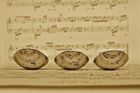 Beethoven's lepels
