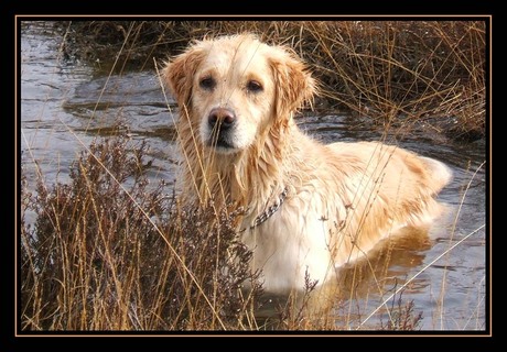 Spelen in het water 2