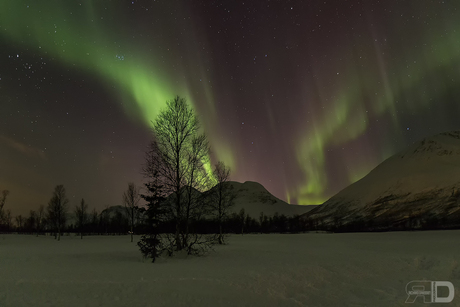 Aurora Borealis in Breivikeidet,Noorwegen