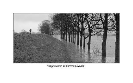 Hoog water in de Bommelerwaard