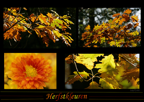 Herfstkleuren