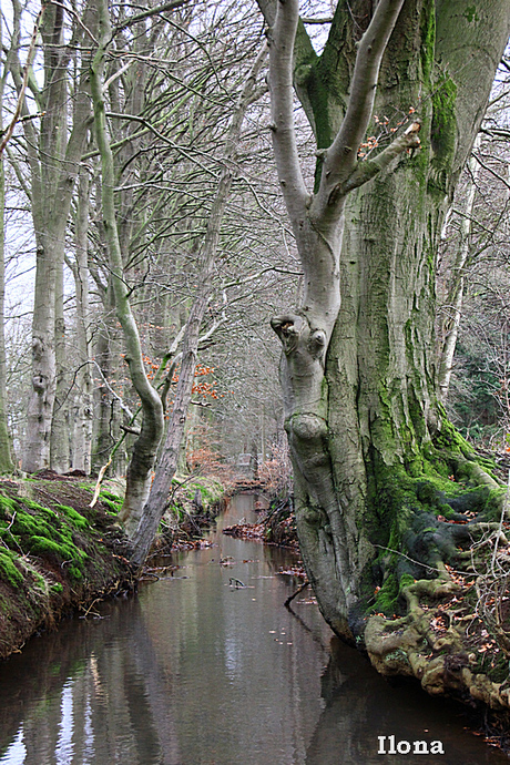 Beek in Vaassen