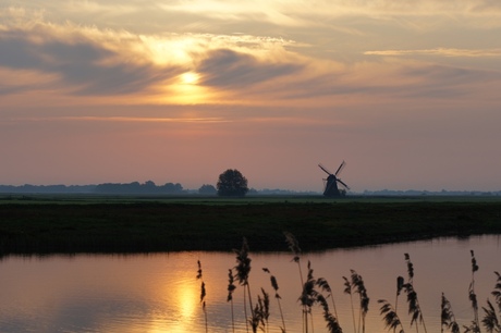 ZELFDE 5 Molen