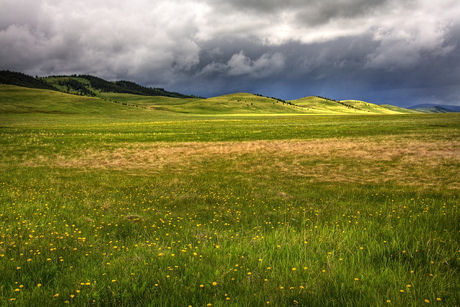 Landscape - Southern Alberta