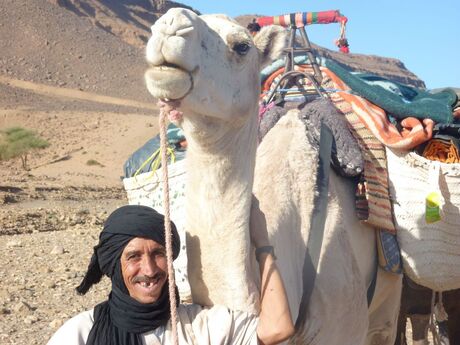 Kamelendrijver met zijn kameel