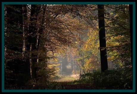 Doorkijk in de herfst