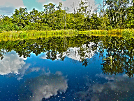 hdr van beekbergse woud