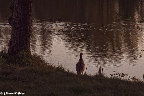visvijver (155 van 243)