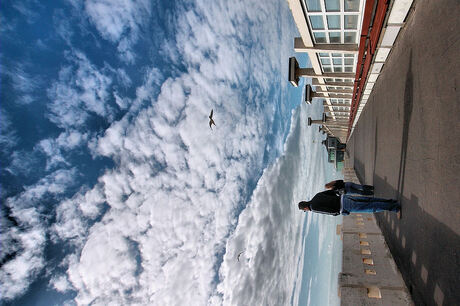 Pier Blankenberge