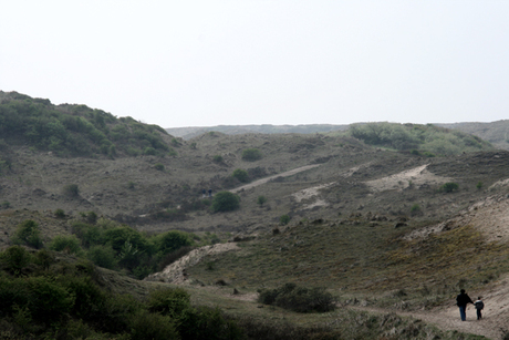 Eenzaam in de duinen