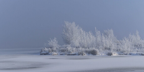 sneeuwlandschap