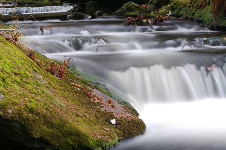 Beekje in Bayerischer Wald