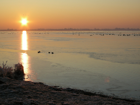 Zonsopgang op de Reeuwijkse plas