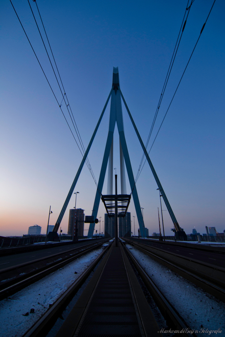 Erasmusbrug Rotterdam