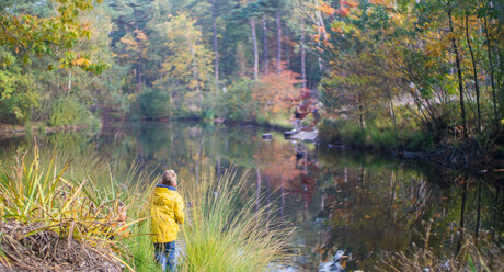 Autumn colours