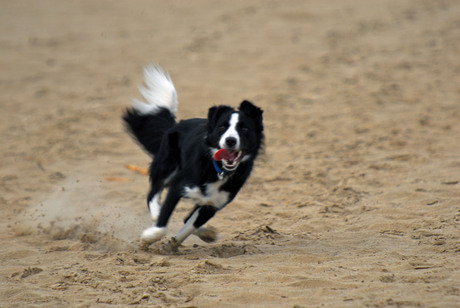 Glenn in actie