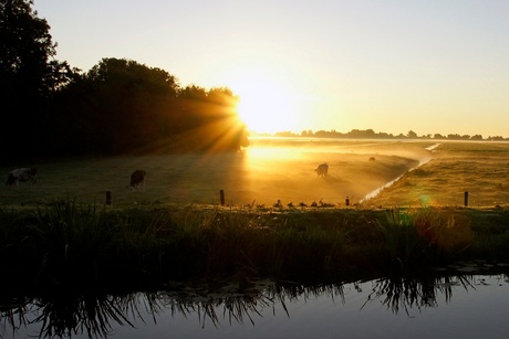 Mist Zoeterwoude