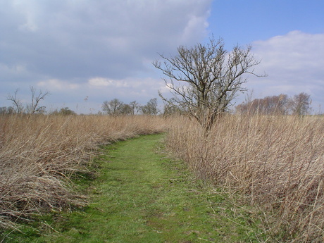 Tiengemeten