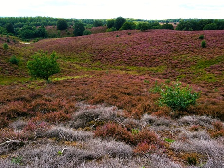 Posbank Rheden