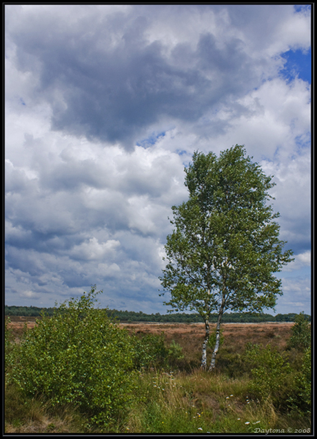 Berk landschap