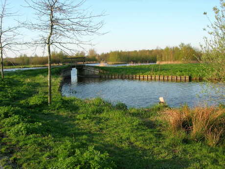 Brug in de avond