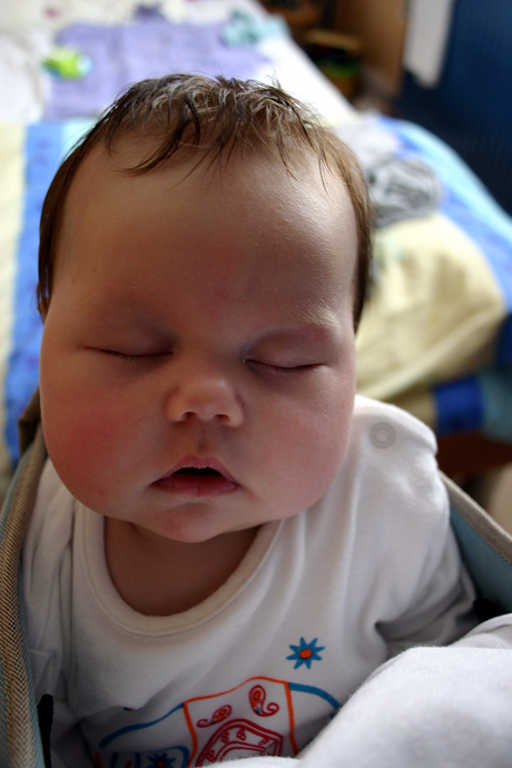 Doornroosje in draagzak