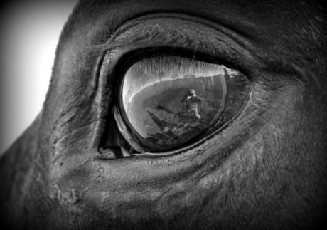 diep in de ogen kijken