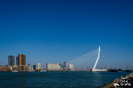 Rotterdam.. verbeterd