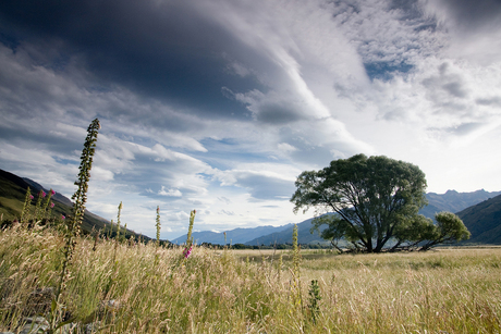 Ongerepte natuur