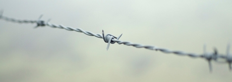 Barbed wire