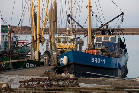 Voorjaar in Bruinisse