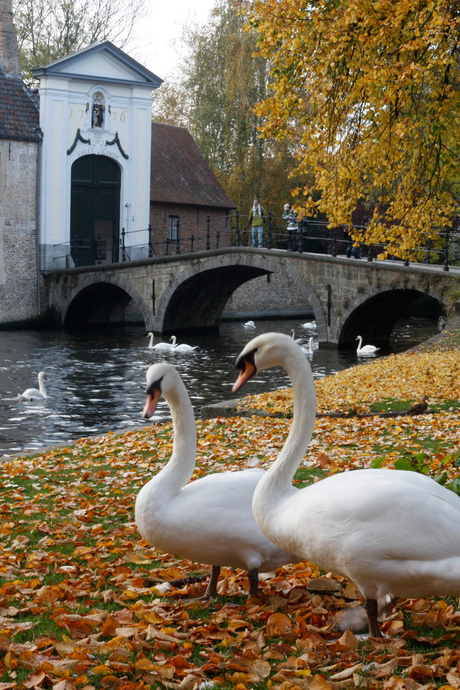 herfstkleuren II