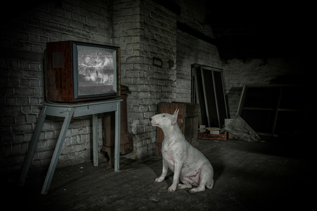 Urbex TV