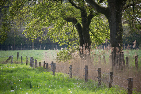 Twente7mei2017