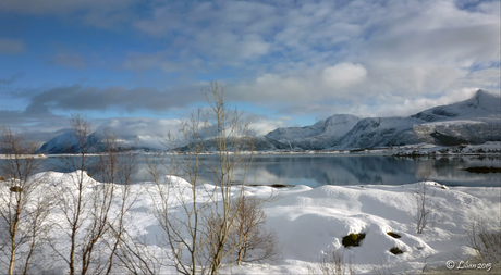 Winter op De Lofoten